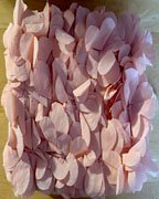 Banner Image for Floral Crossbody Purse $15 each or 2 for $25