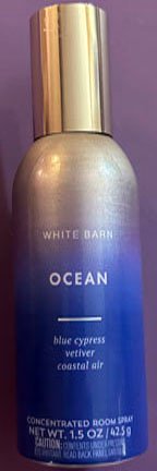 Banner Image for Ocean Room Spray for $4.95