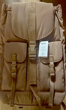 Banner Image for Tan Backpack $29.95